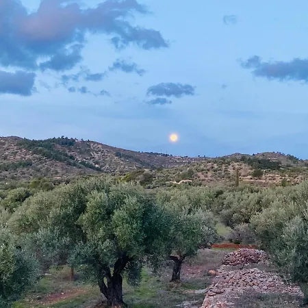 Bellissima Bell Tent * Tortosa
