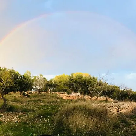 Lüks kamp alanı Bellissima Bell Tent *