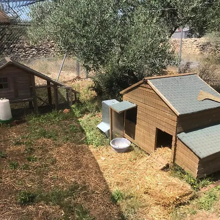 Bellissima Bell Tent Lüks kamp alanı Tortosa