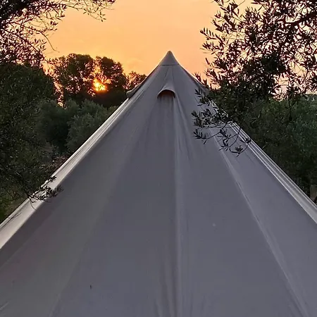Bellissima Bell Tent * Tortosa