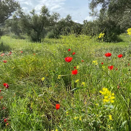 Bellissima Bell Tent Luxury tent Tortosa