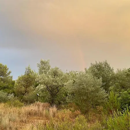 Bellissima Bell Tent Luxury tent Tortosa